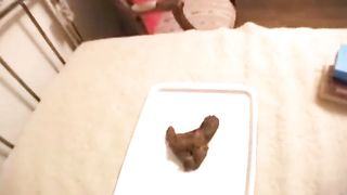 Gorgeous Japanese hot girl poops