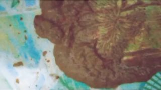 Indian sissy boy pooping heavily on cam