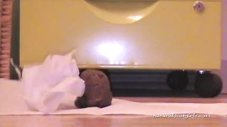 Beautiful smooth log