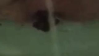 Going 14 Rounds with Traveler's! Scat 