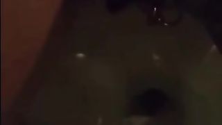 Going 14 Rounds with Traveler's! Scat 