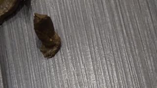 Sexy hot girl poops in style