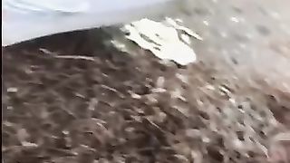 Amateur outdoor scat video