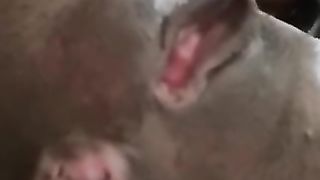 Black lady and her hot pooping asshole