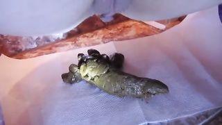 Naughty Constipated Compilation