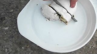 Chunky big ass lady pooping