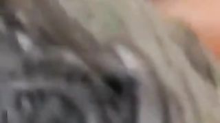 Naughty Latina slut enjoying anal fuck before giving dirty blowjob