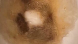 Massive thick turds in the toilet