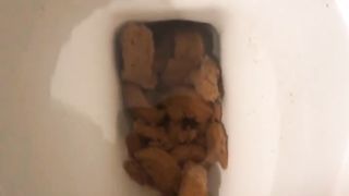 Massive thick turds in the toilet