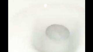 Shit swimming in the toilet