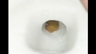 Shit swimming in the toilet