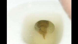 Shit swimming in the toilet