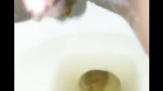 Shit swimming in the toilet