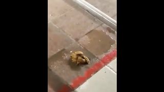 Amateur wife poops in the public