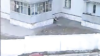 Outdoors shitting unusual cleaning video