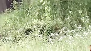 Japanese schoolgirl pooping in tall grass