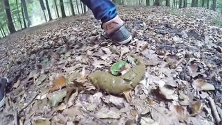 POV video of sexy babe pooping in the woods