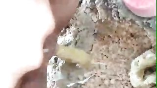 Thai Poop On the Rock