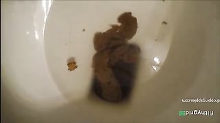 Thick shitter sexy video