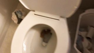 Girl loves her thick poop dolphin