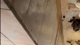 The girl defecated heavily in the toilet