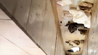 The girl defecated heavily in the toilet