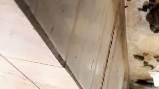 The girl defecated heavily in the toilet