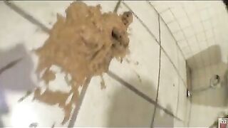 Cheeky Japanese gal dropping heavy and messy shit