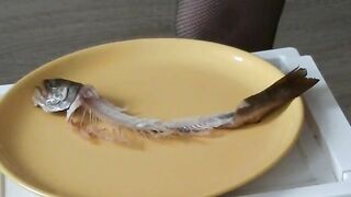 27 cm MONSTER shit by sexy German MILF