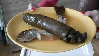 27 cm MONSTER shit by sexy German MILF