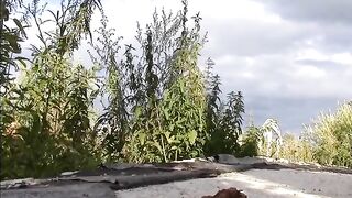 Cute redhead college girl poops in the grass