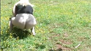 Poop in the grass while the dog is watching