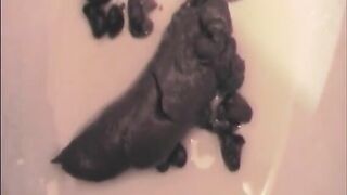 Beautiful piss and hard black turd in toilet