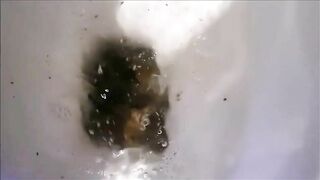 Chocolately poop closup