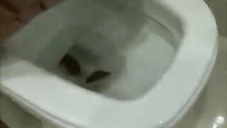 College girl bathroom shit