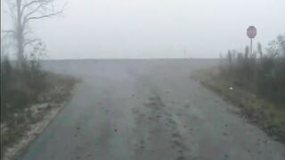 Rainy day and thick turds