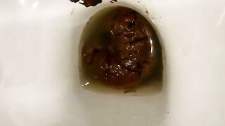 Nice long dump in the toilet
