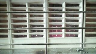 Big turds oven baked