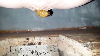 Sexy babe shitting in dirty toilet