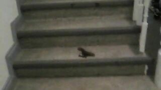 Cute teen shitting on the stairs