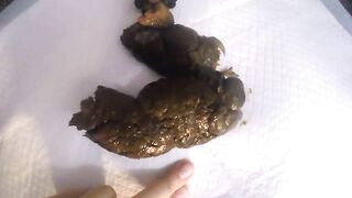 Three massive shits from phat ass