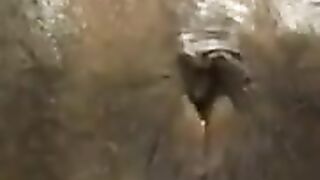 Yellow turd in sweet close up