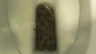Amateur lady pooping in the toilet