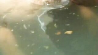 Eating poop in the water