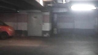 Pissing and pooping in the car parking