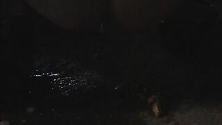 Pissing and pooping in the car parking