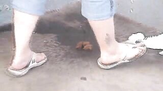 Pooping in the train station