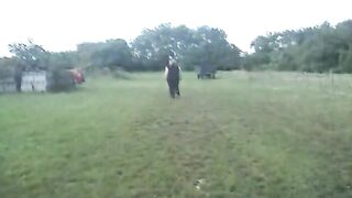 Outdoor poop in the field