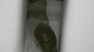 MILF with gaping pussy poop in the toilet