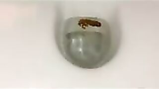 Messy poop in toilet